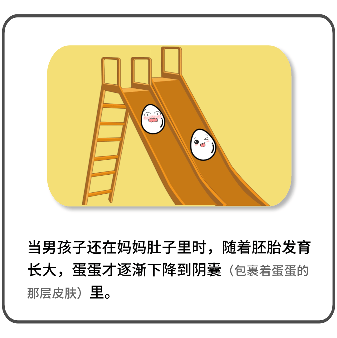 探索多彩世界，10种玩蛋蛋的方法-第2张图片
