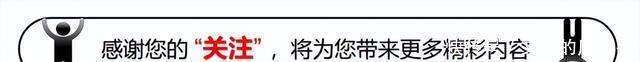 正能量WWW免费视频软件正能量与娱乐的完美结合——免费视频软件WWW的探索与体验-第2张图片