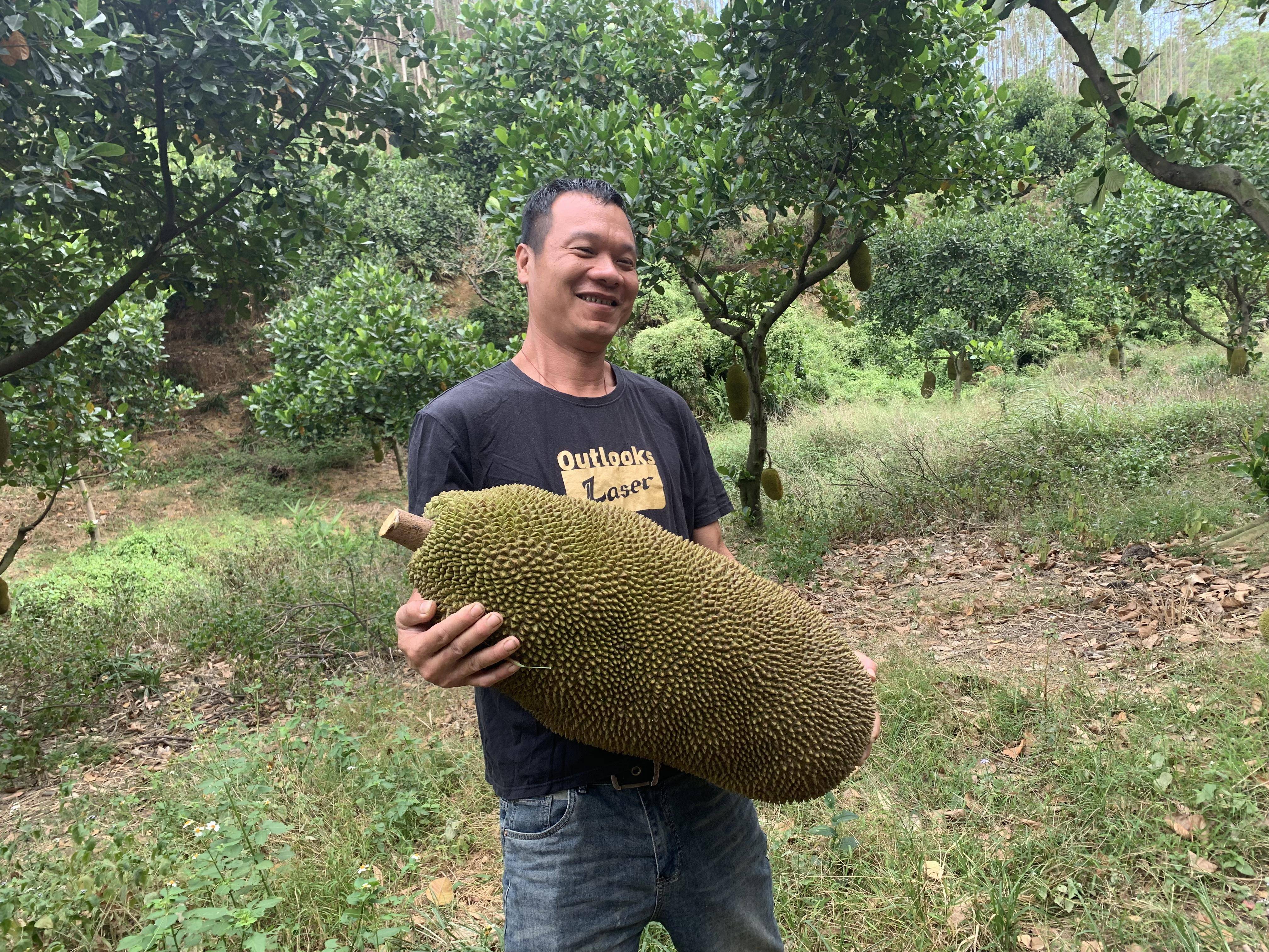 菠萝菠萝蜜视频-免费观看3菠萝菠萝蜜视频 - 免费观看的乐趣与探索-第1张图片