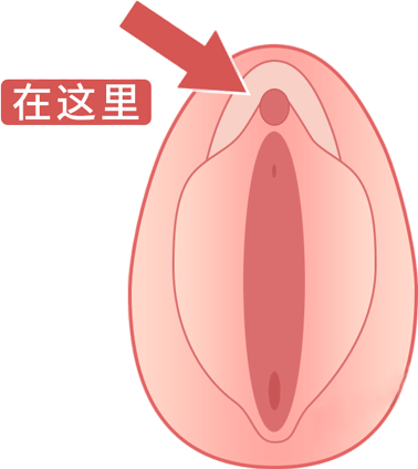 探索女性私密部位——大荫蒂的独特魅力-第2张图片