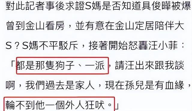 妈妈的朋友4，跨越文化的观影体验-第1张图片