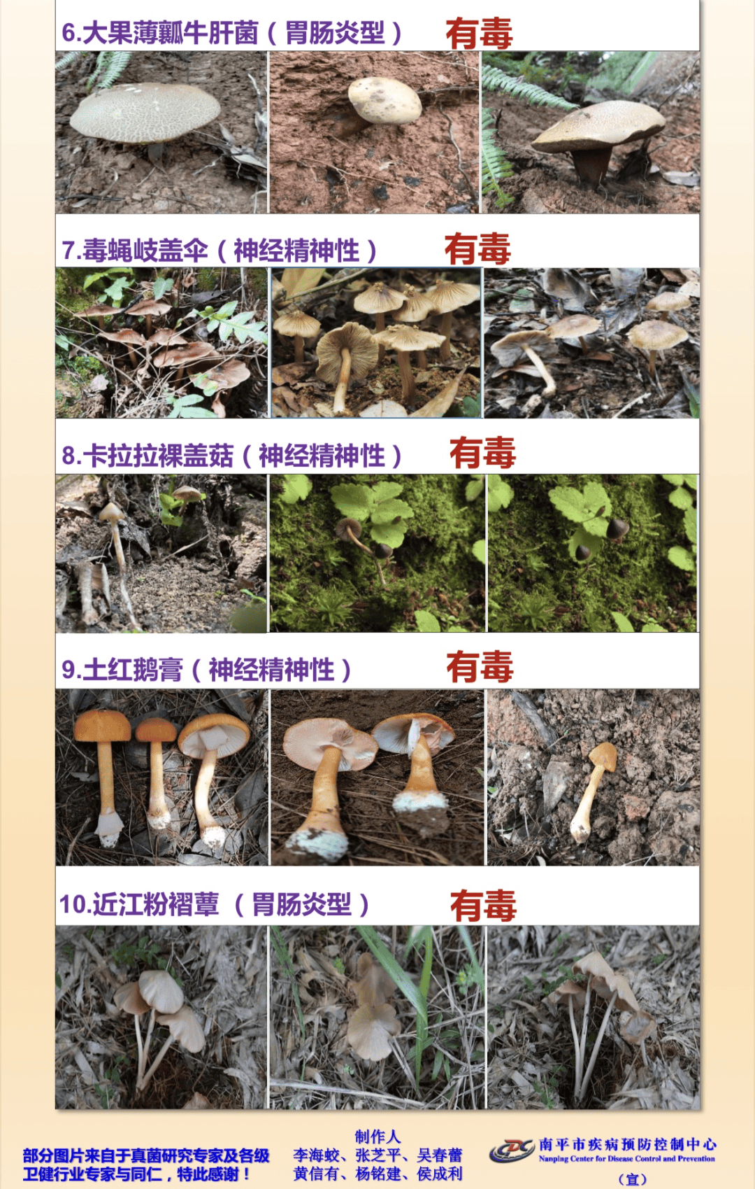 毒蘑菇测试官网，保护生命，从识别开始-第2张图片