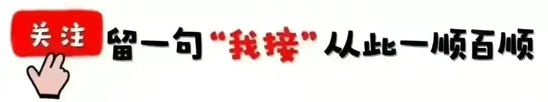 妈妈的朋友——在完整观看有限中的感悟-第1张图片