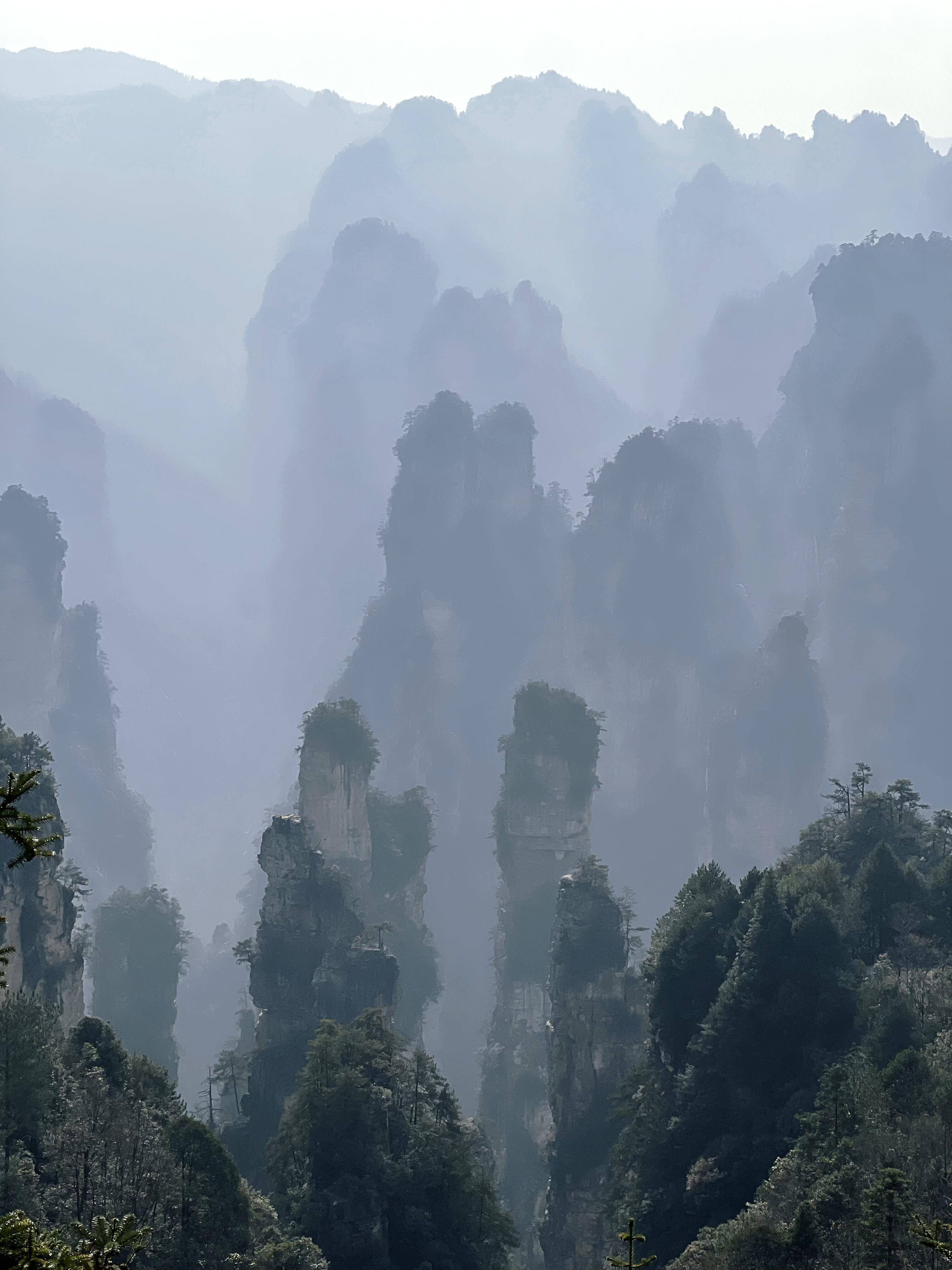 阿凡达攻略视频阿凡达攻略，游戏秘籍与探险指南