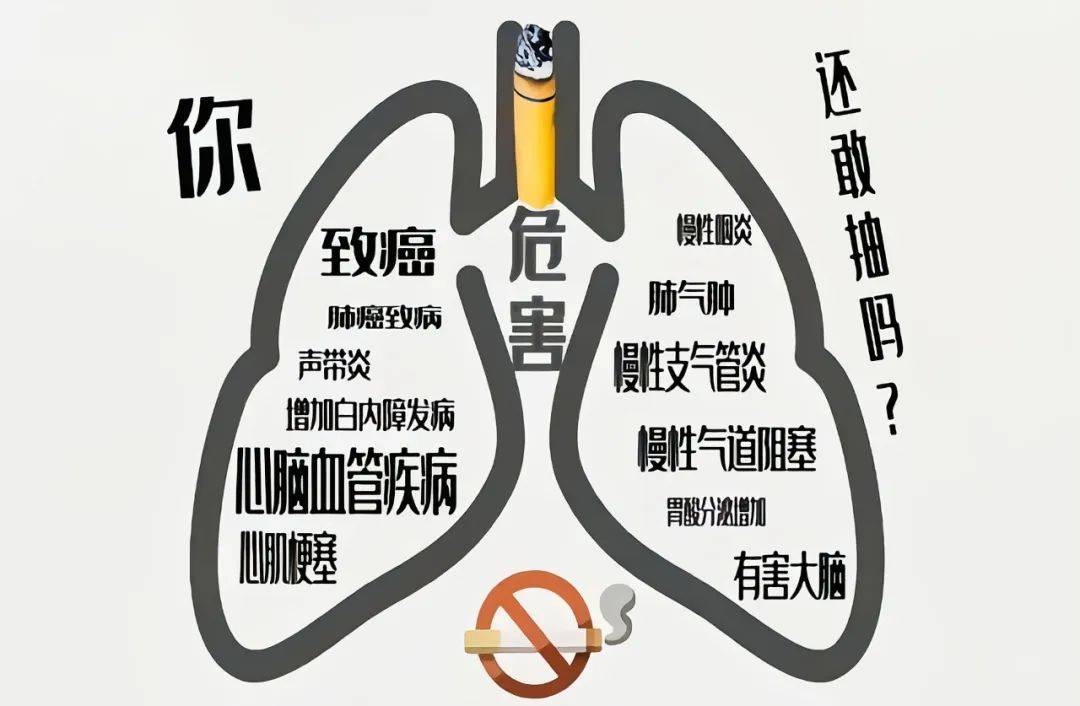 远离不良内容，珍爱健康生活-第2张图片