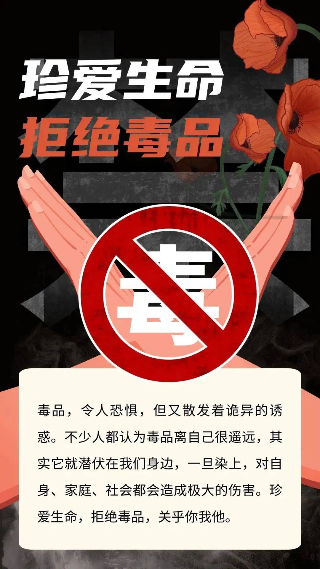 无毒的黄网探索无毒的黄网世界-第2张图片