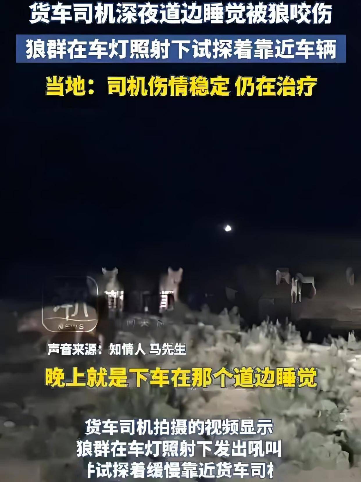 狼群社区论坛狼群社区论坛，网络交流的新天地