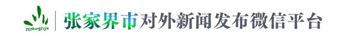免费观看视频的便捷体验-第3张图片