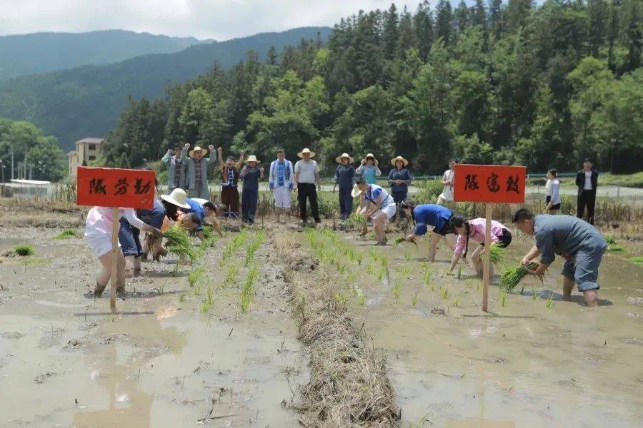 儿子耕种母亲的田地——传统农耕文化中的代代传承