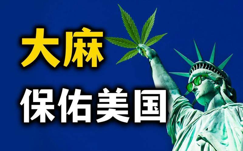 美国人妖另类图片在线观看关于网络传播的误解——探讨美国另类文化现象的界限-第3张图片