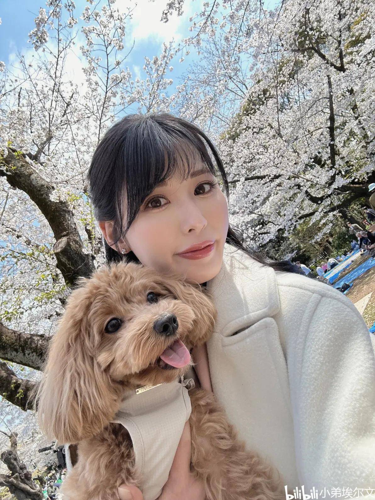 波多野结衣B站开直播波多野结衣B站开直播，网络新风潮的引领者-第3张图片