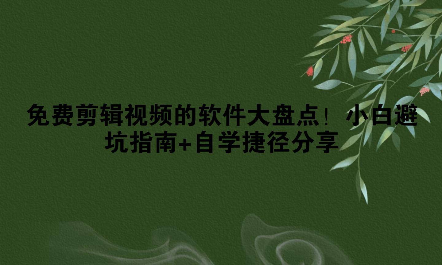 免费的视频软件免费的视频软件，选择与使用指南-第3张图片