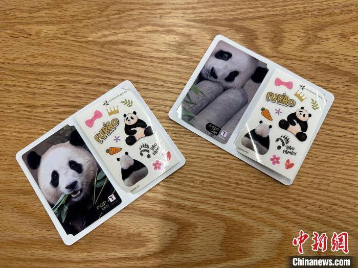 污性福宝探索污性福宝的魅力与内涵-第1张图片