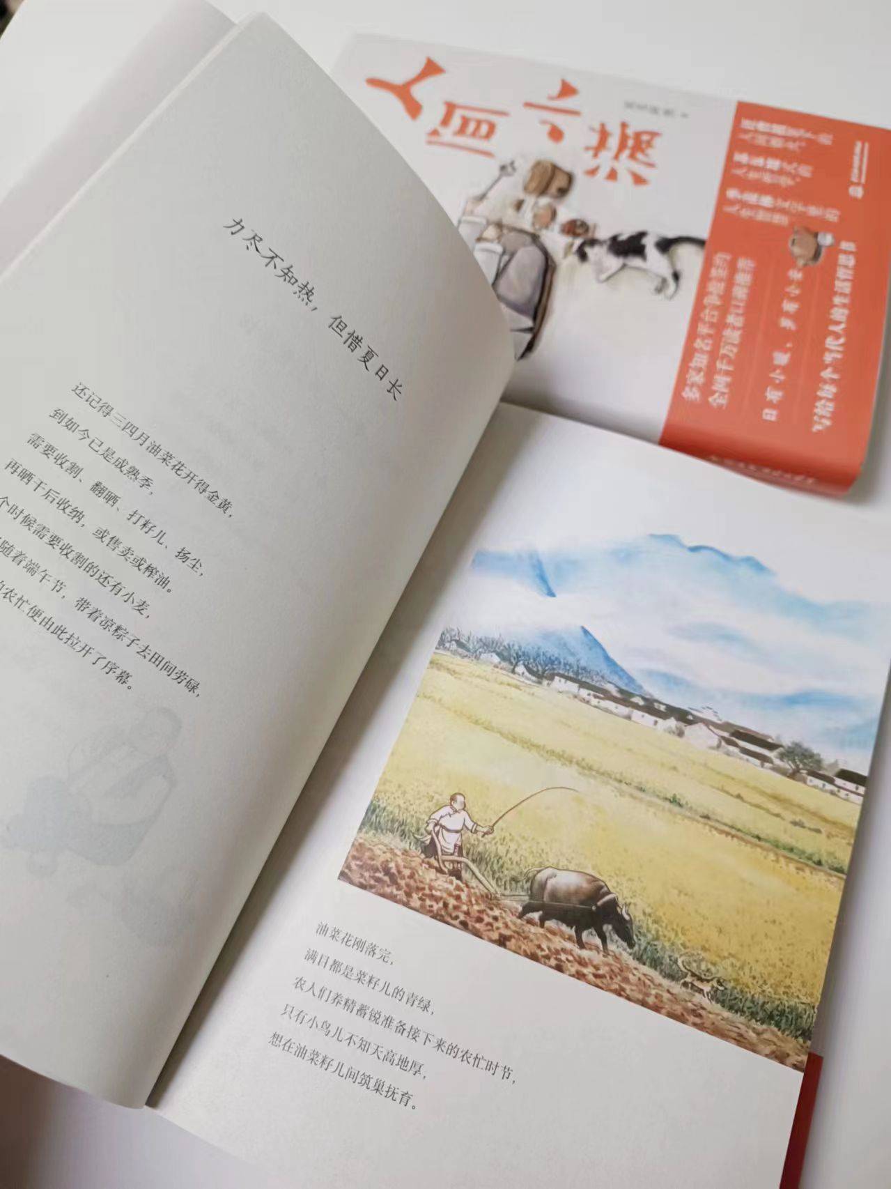 风月书风月书，一卷诗意与浪漫的交织-第2张图片