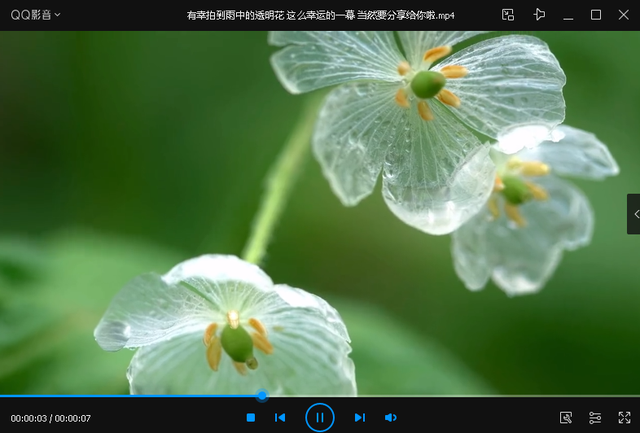 完美解码设置，解锁数字世界的密钥-第2张图片