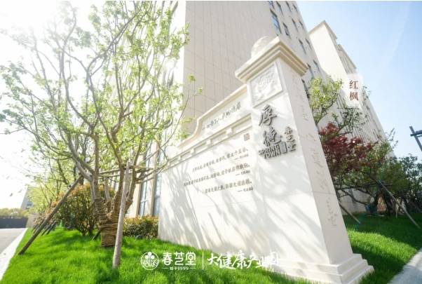 电车之狼3，深度解析与体验-第3张图片