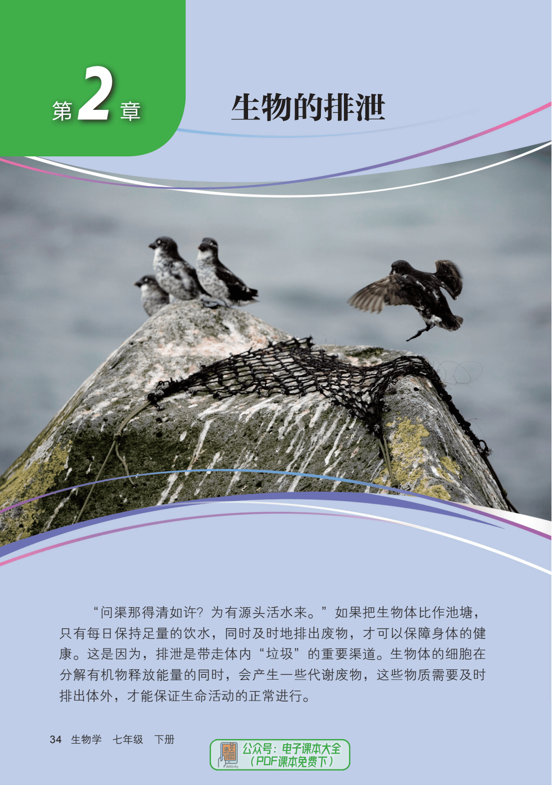 生物课老师拿自己做教科以生物课老师自述，用自己作为生动教科书的体验
