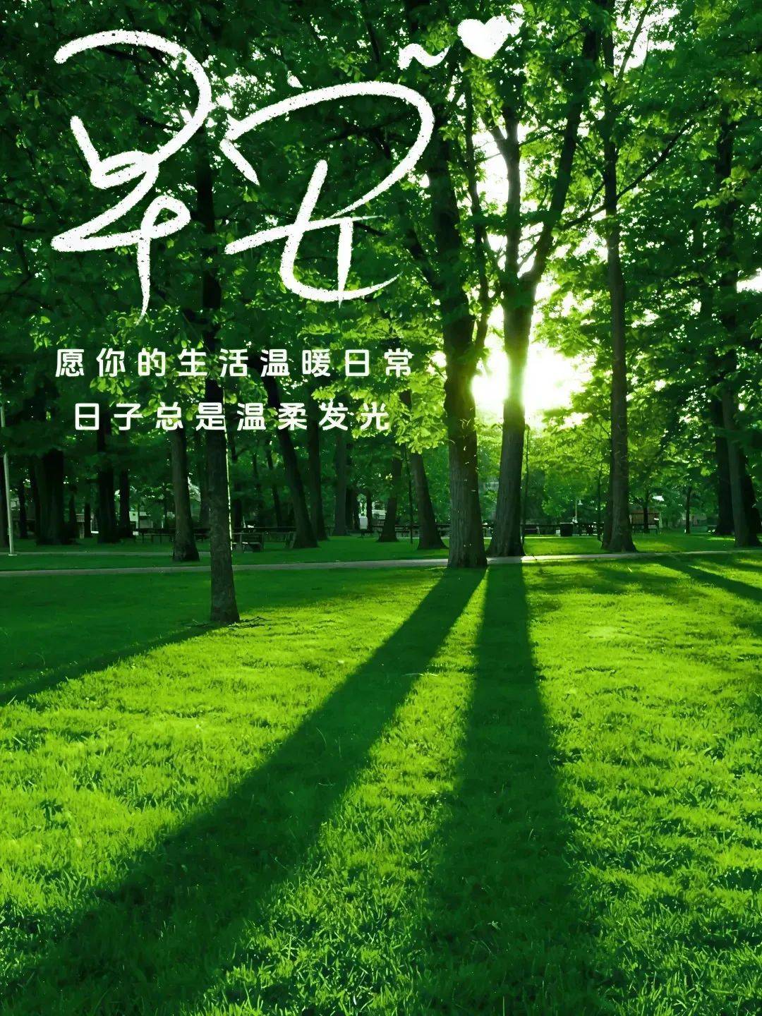 搏击长空的意思搏击长空，勇者的飞翔之旅