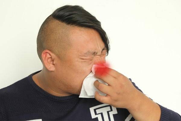黄色免费网页探索黄色免费网页的奥秘
