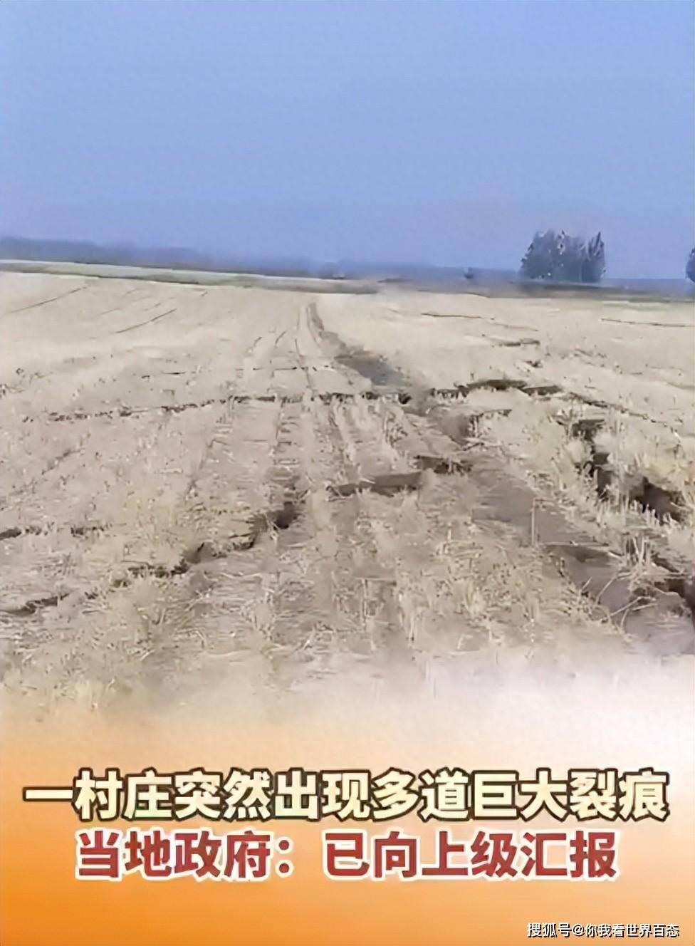 沙河视频，网络现象的解读-第3张图片