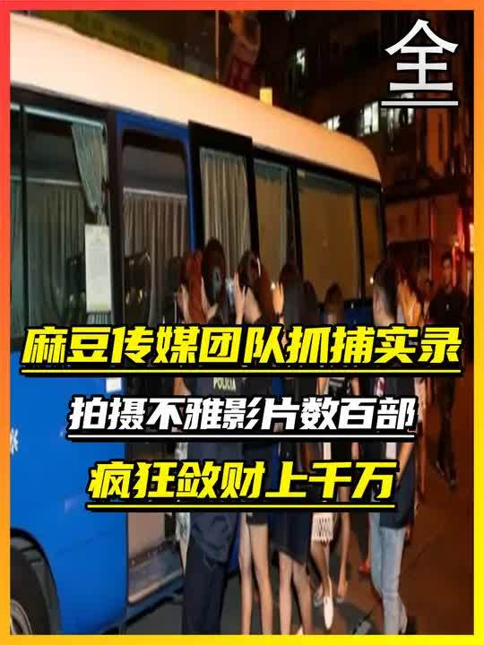 麻豆剧果冻传媒视频免费，探索与分享的数字时代新体验