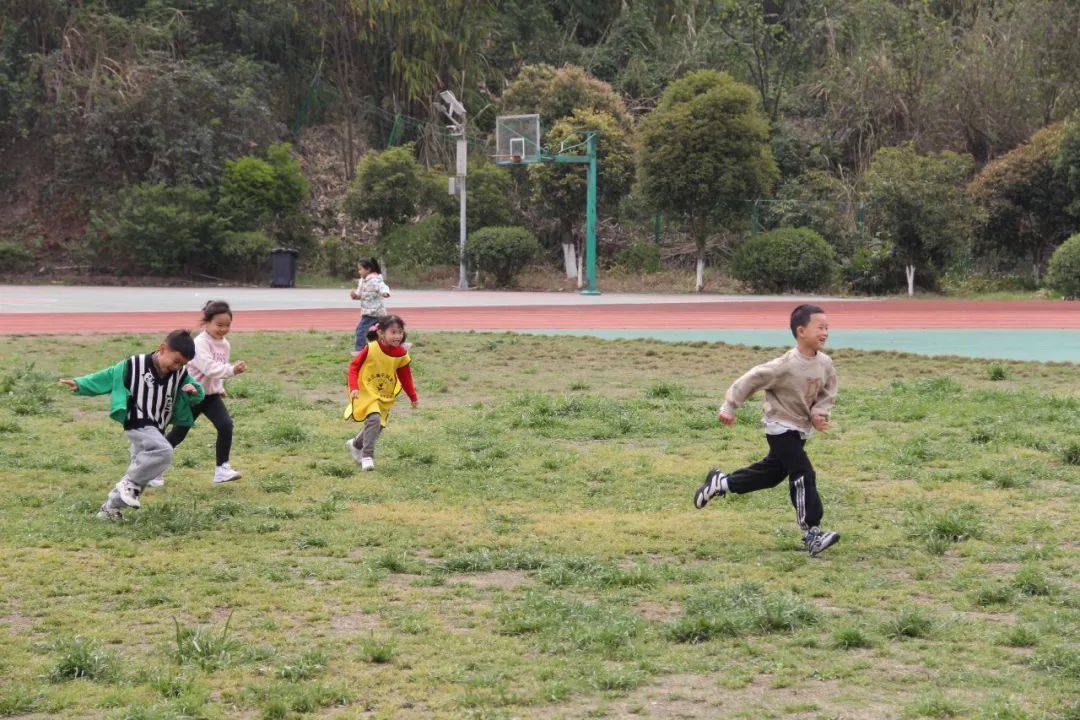 TREE，10岁幼儿的小学生活