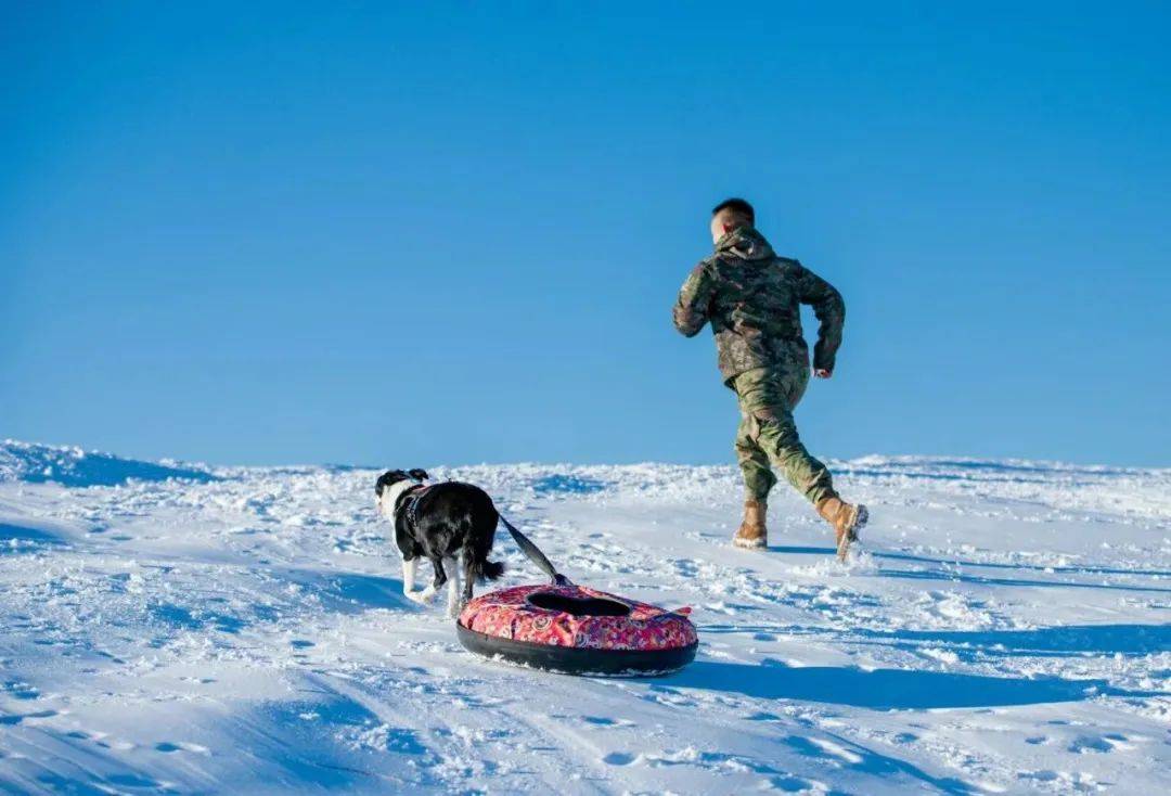 雪地狂奔下载雪地狂奔，冬日激情的下载之旅-第2张图片