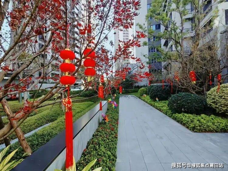 花儿免费视频观看、下载与欣赏的乐园-第2张图片