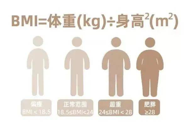 欧洲肥胖最大肥胖女健康生活，远离不健康话题