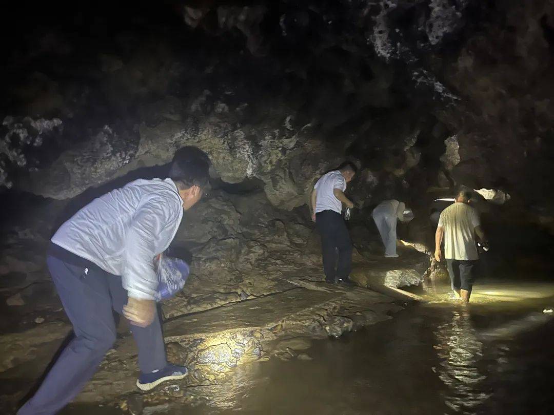 石头打野石头打野，探索未知的冒险之旅