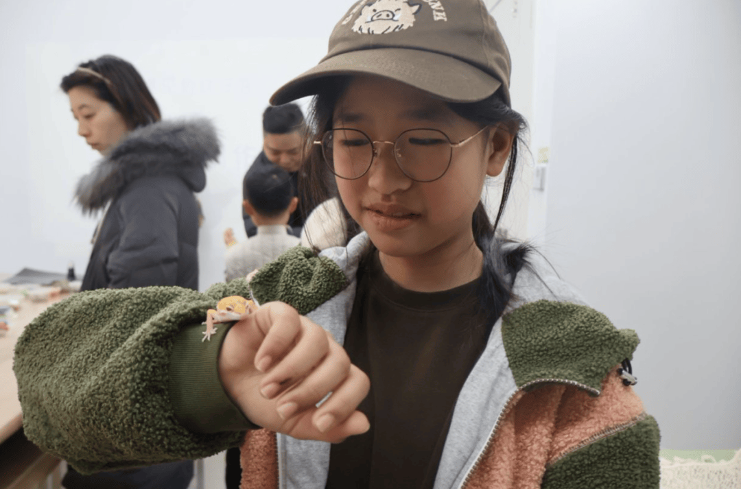 探索神秘世界，YW.8827龙物视频的魅力之旅