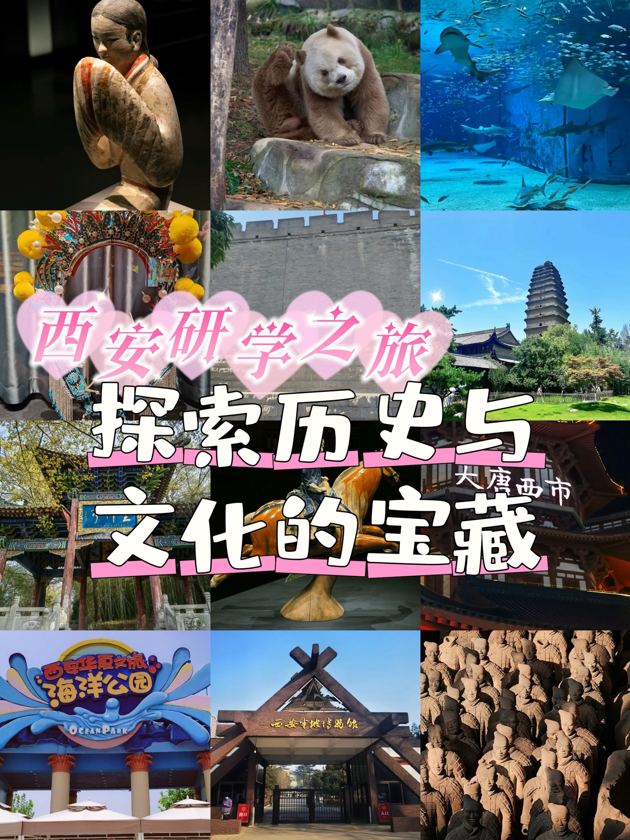 漫库，探索无尽的文化宝藏-第2张图片