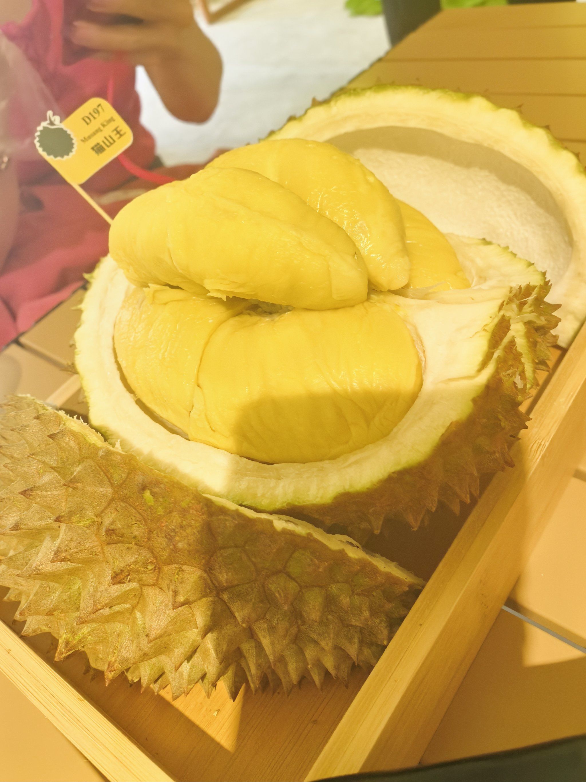 榴莲视频下载-下载app。榴莲视频下载，轻松下载app，享受无限乐趣-第2张图片