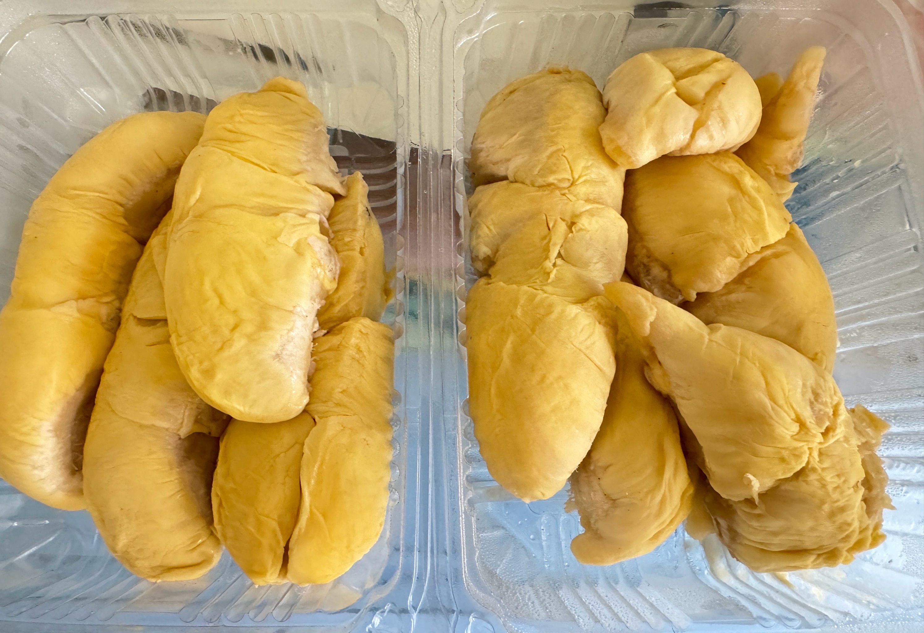 向日葵 黄瓜 榴莲向日葵、黄瓜、榴莲与丝瓜的奇妙美食之旅