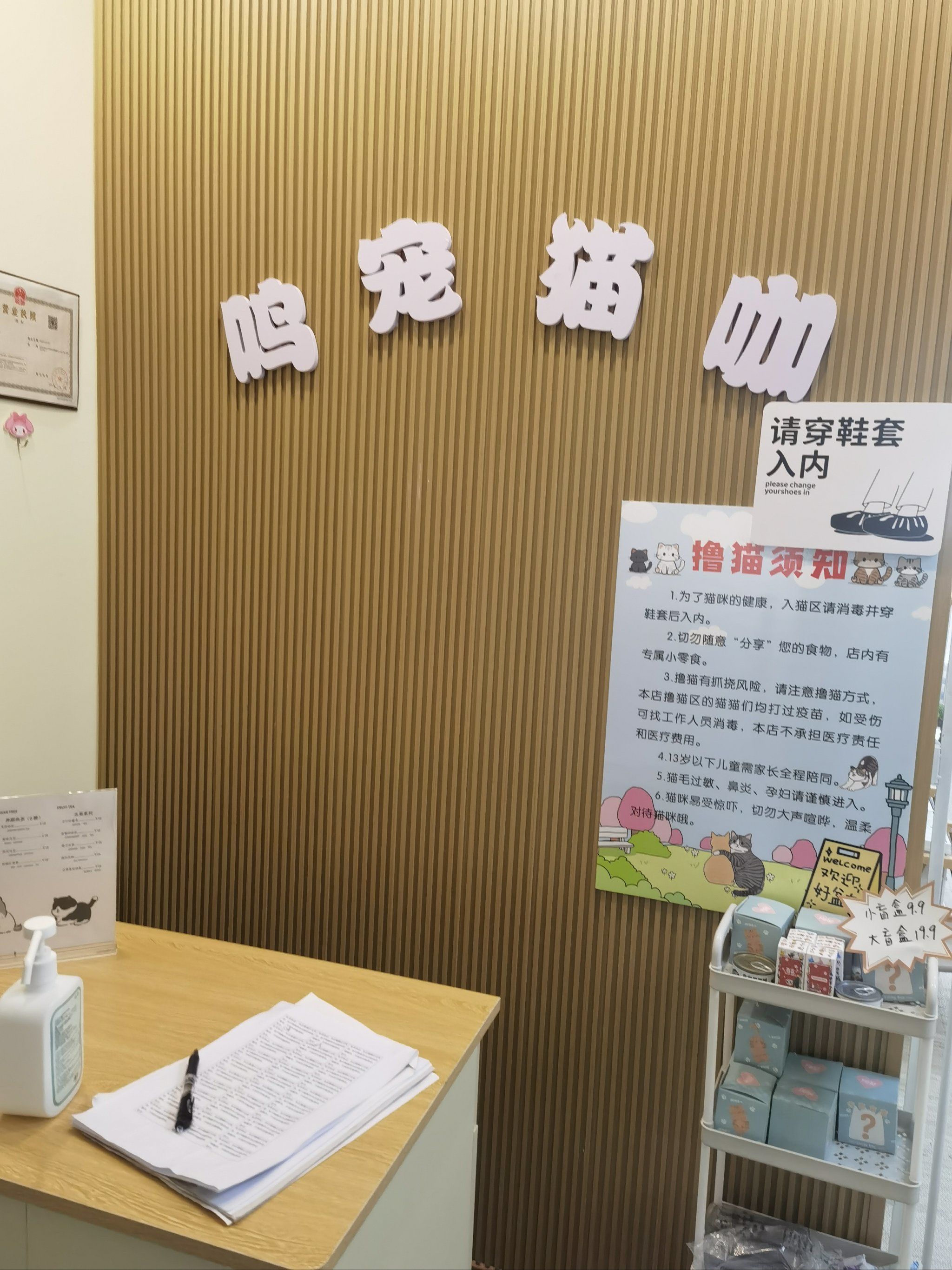 探索猫咪的乐园——猫咪社区app官网入口进入