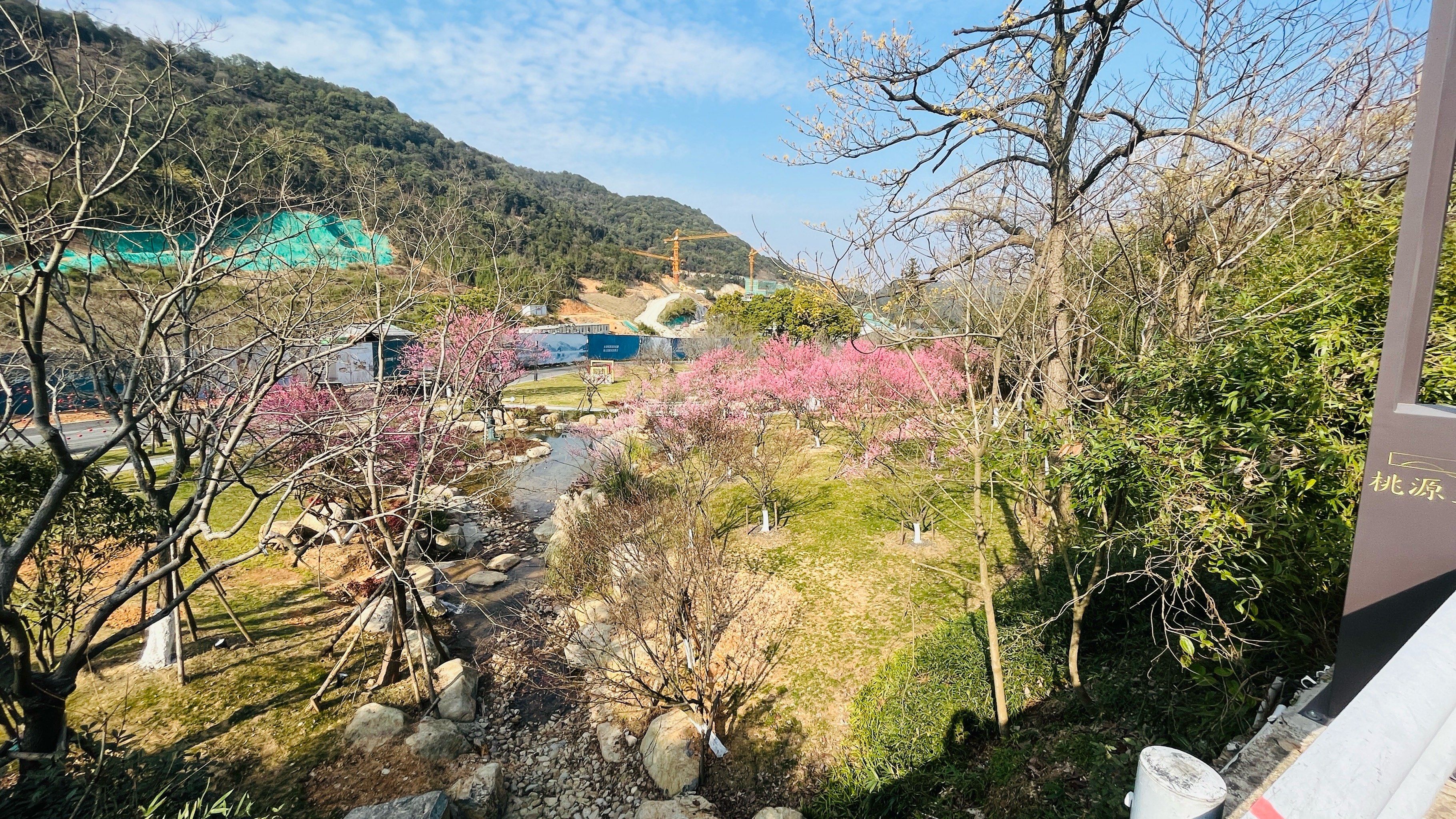 桃花社区视频在线播放桃花社区视频在线播放，探索社区生活的多彩画面-第2张图片