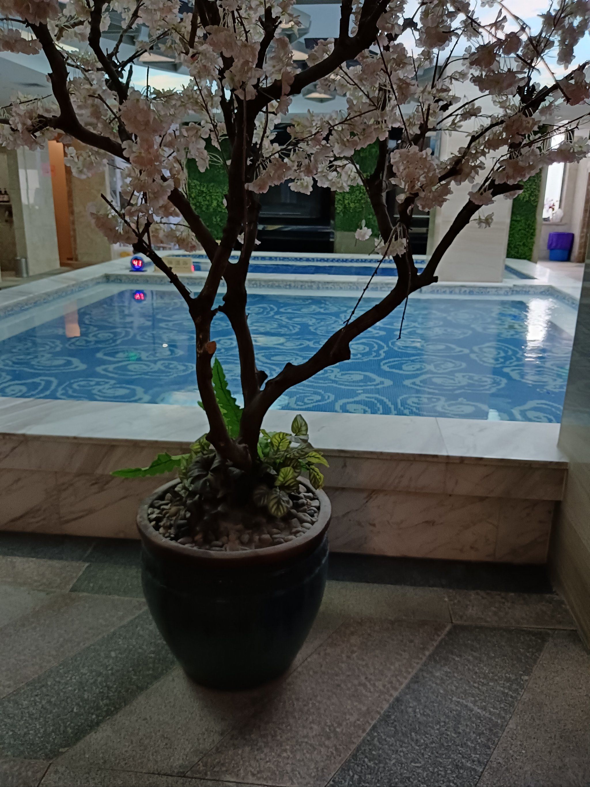女澡堂的独特魅力-第3张图片