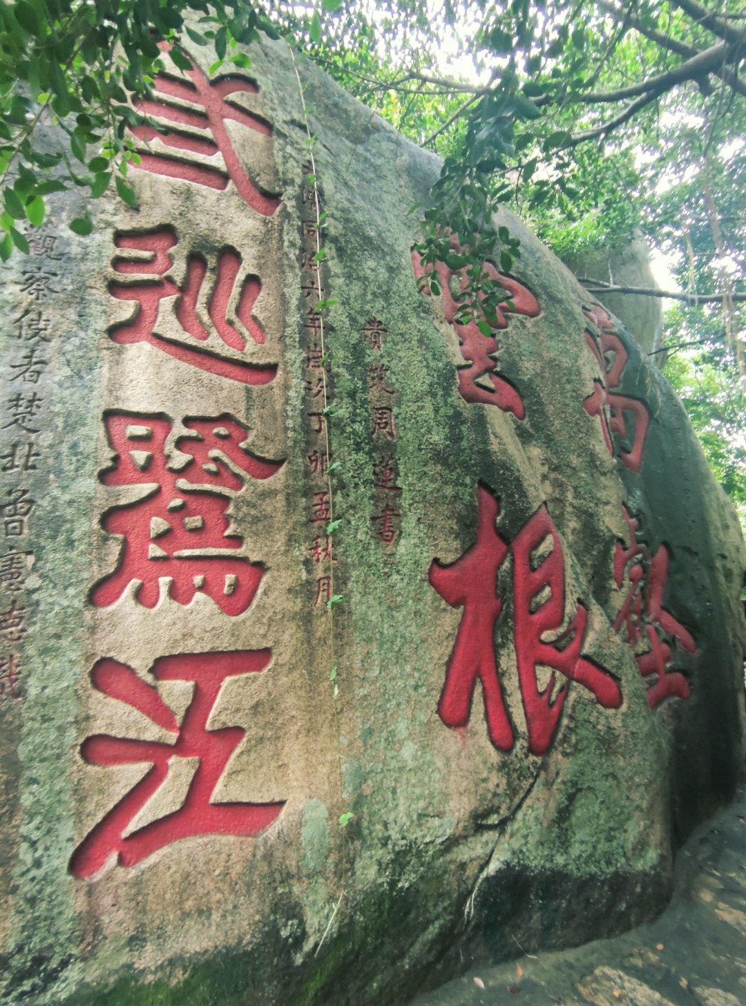 老师在学校无人的地方做那事老师私密行为揭秘，学校无人处的隐秘瞬间