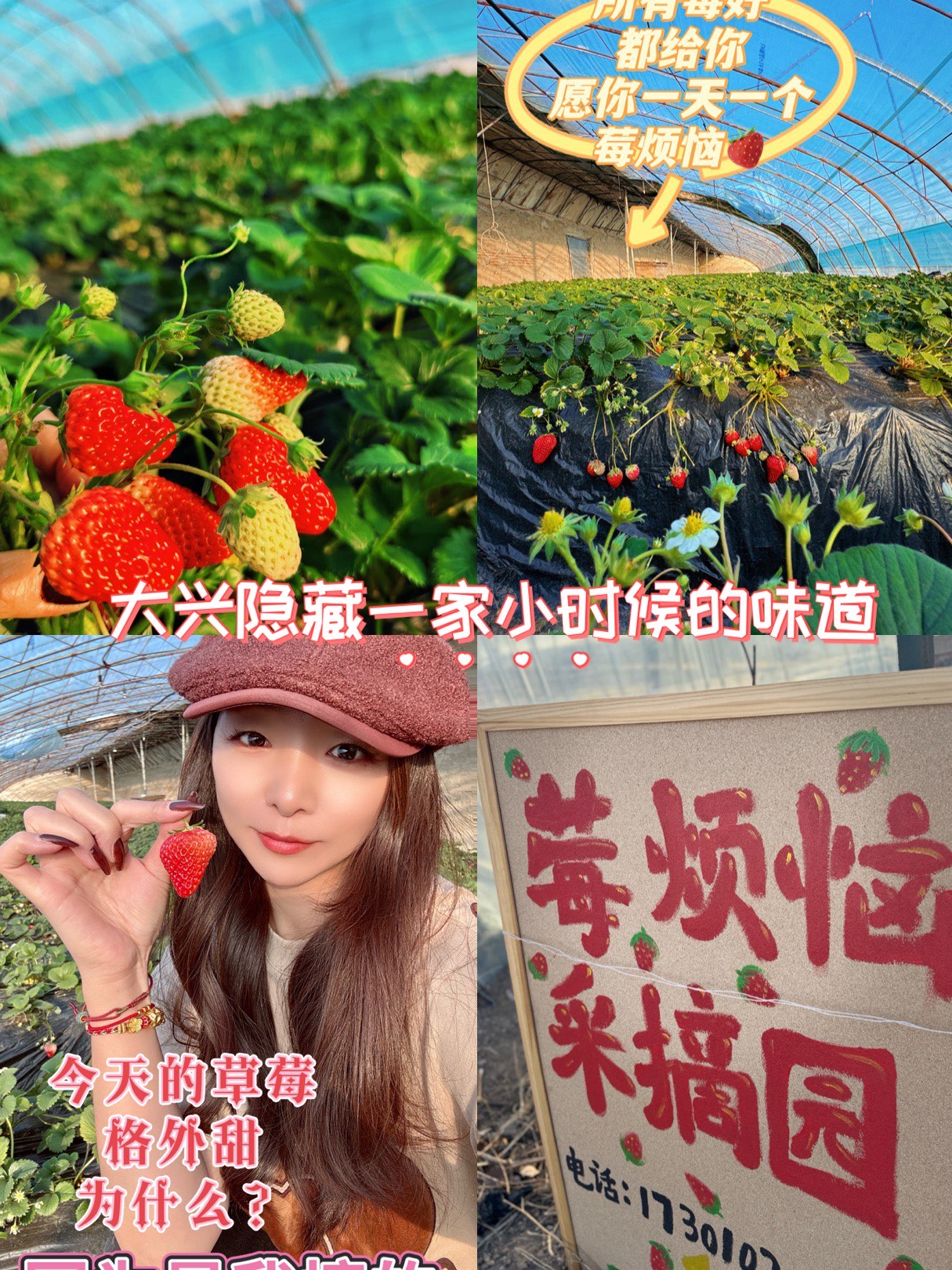 下载草莓深夜释放你自己草莓TW深夜的自我探索之旅——下载与释放