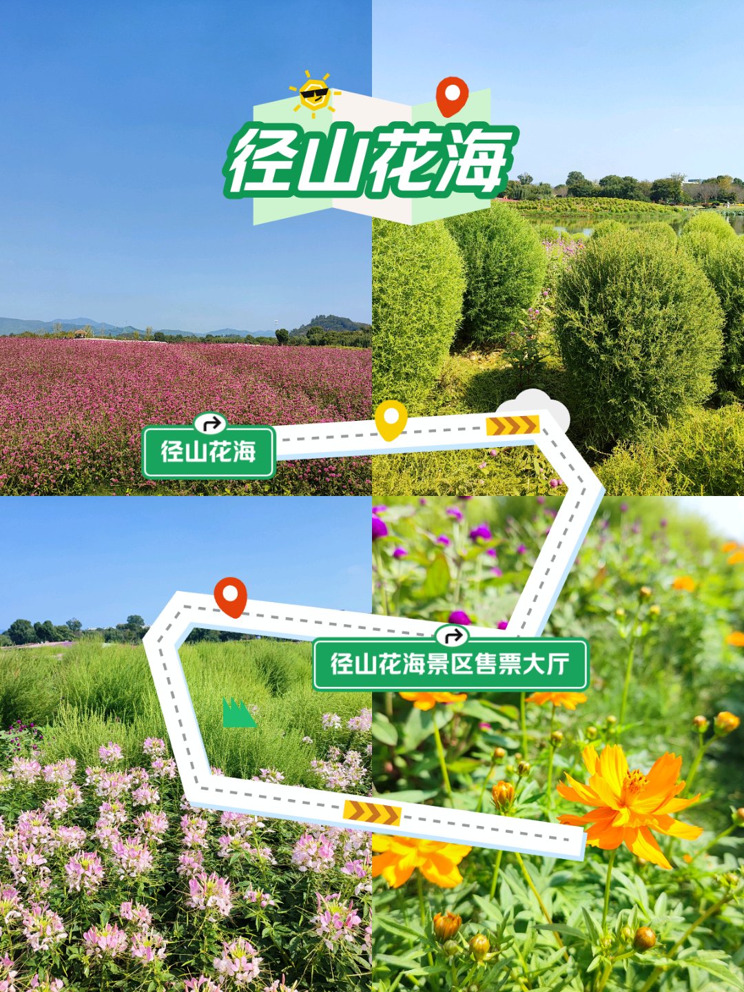野花免费社区在线野花之美，免费社区在线探索之旅