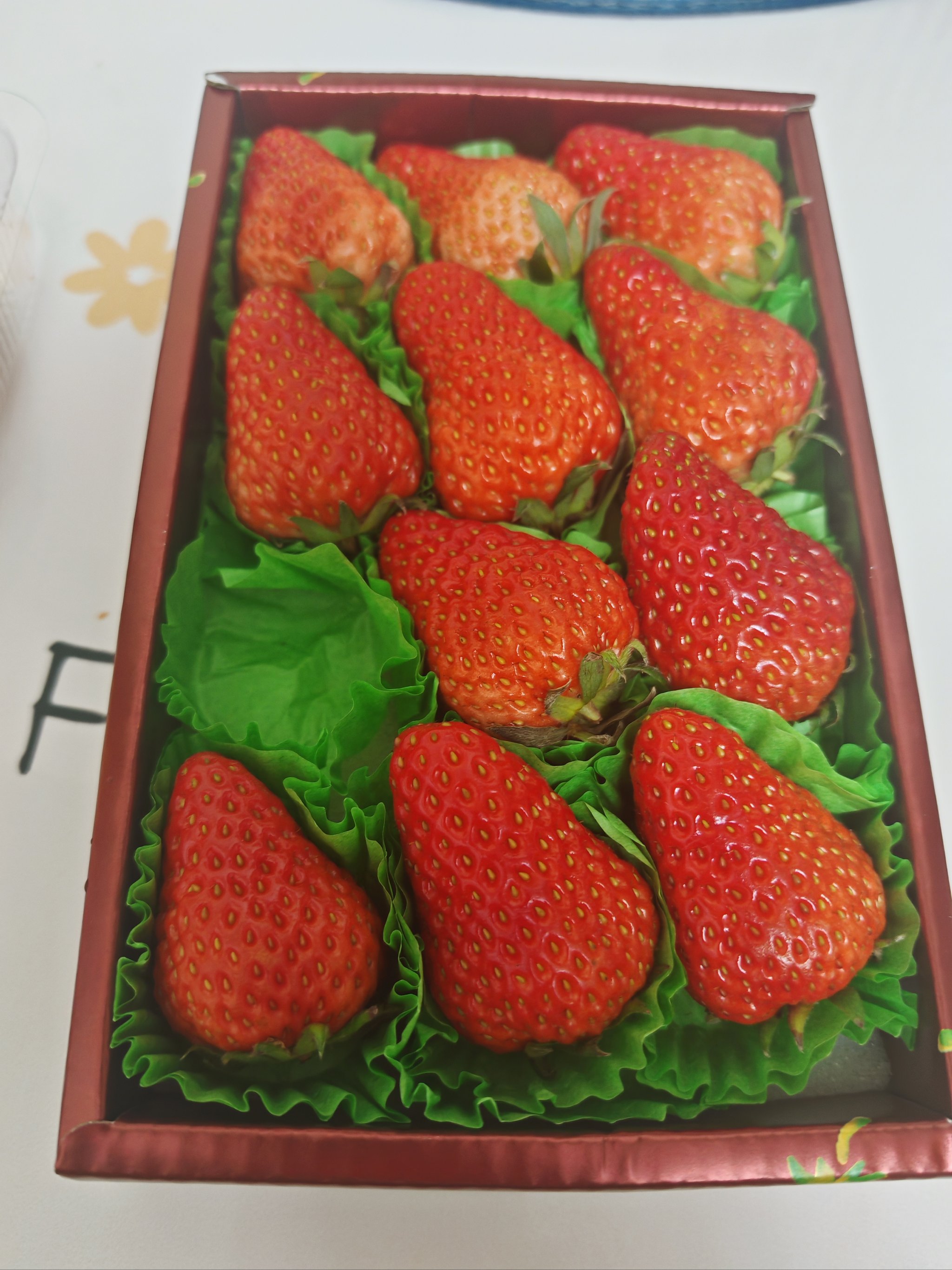 甜蜜的诱惑——宝宝，我们今天来品尝美味的草莓-第2张图片