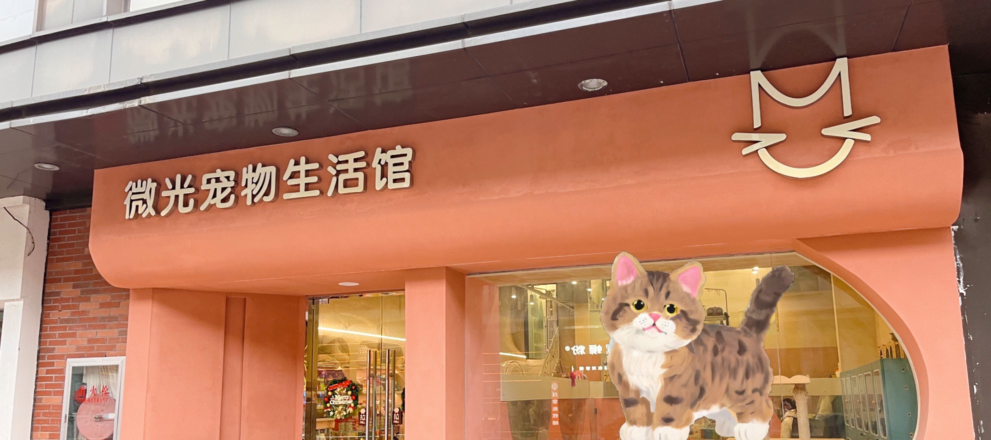 猫咪社区，免费资源在线观看的温馨乐园-第2张图片