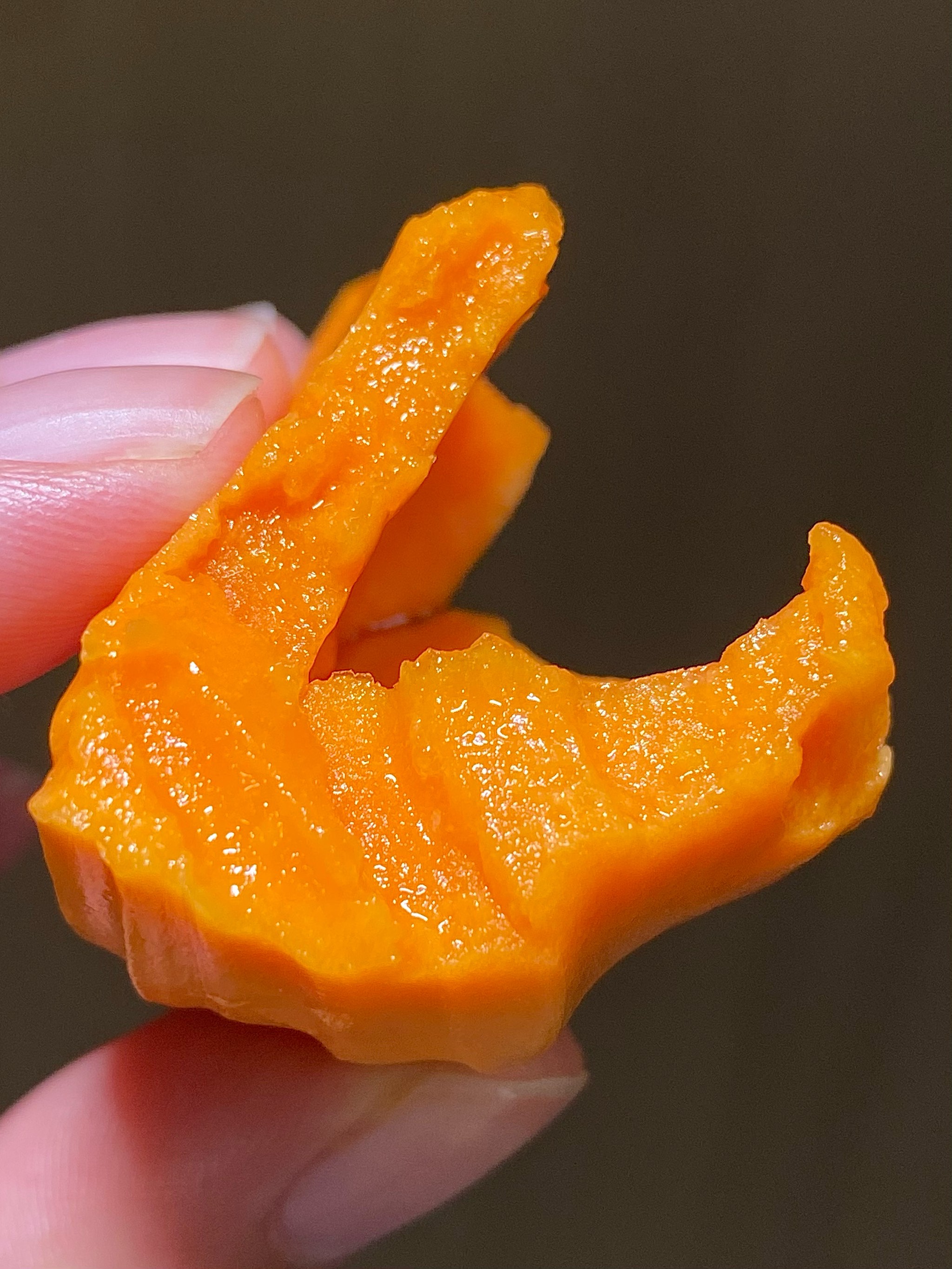 菠萝菠萝蜜视频观看大全免费菠萝菠萝蜜视频免费观看大全