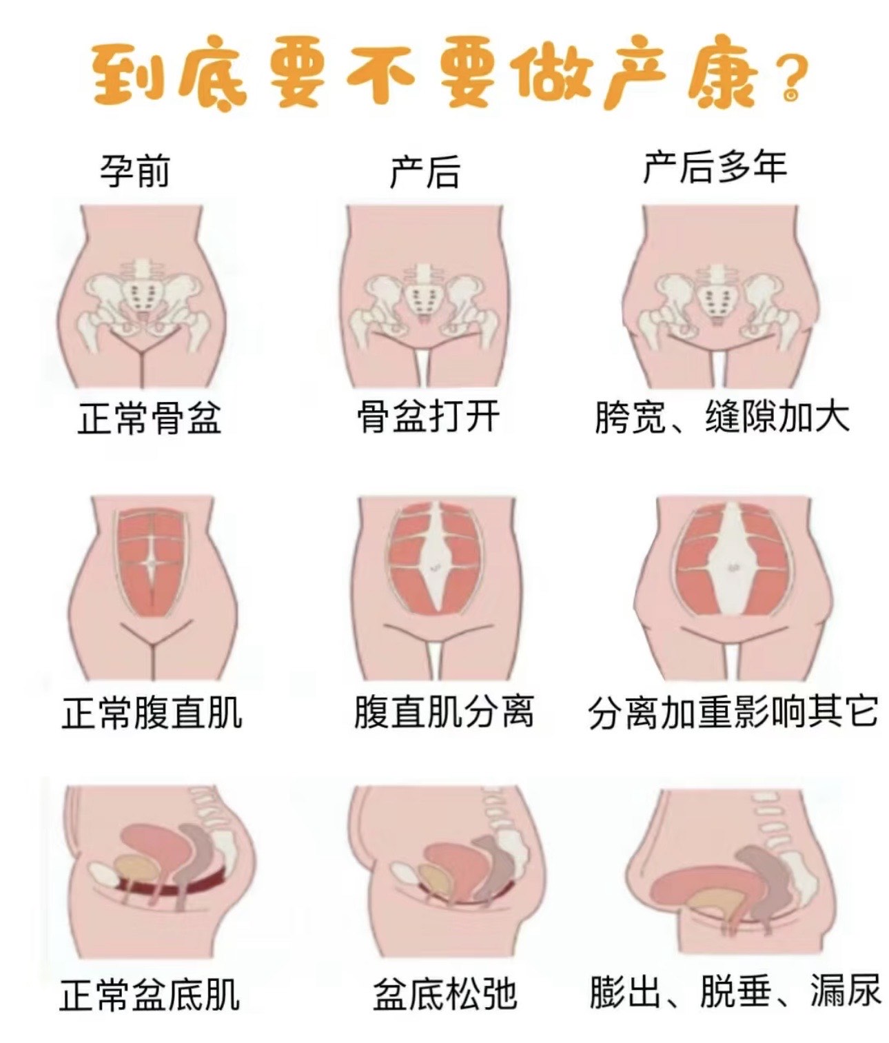 生完孩子那两瓣越来越小了呢产后身体变化，生完孩子后，为何那两瓣越来越小？-第3张图片