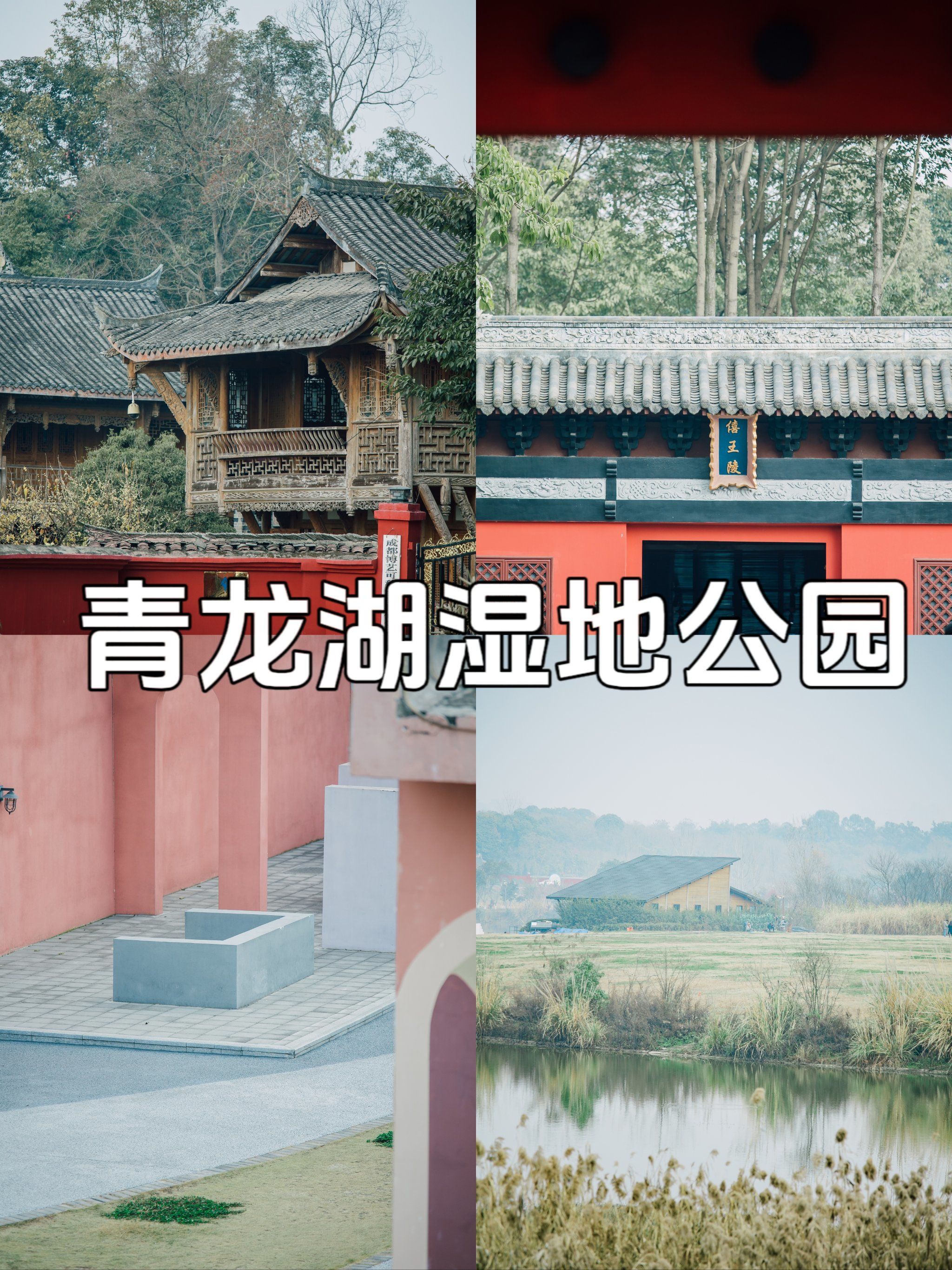 成都沙河公园成都沙河公园，城市绿肺的魅力与变迁