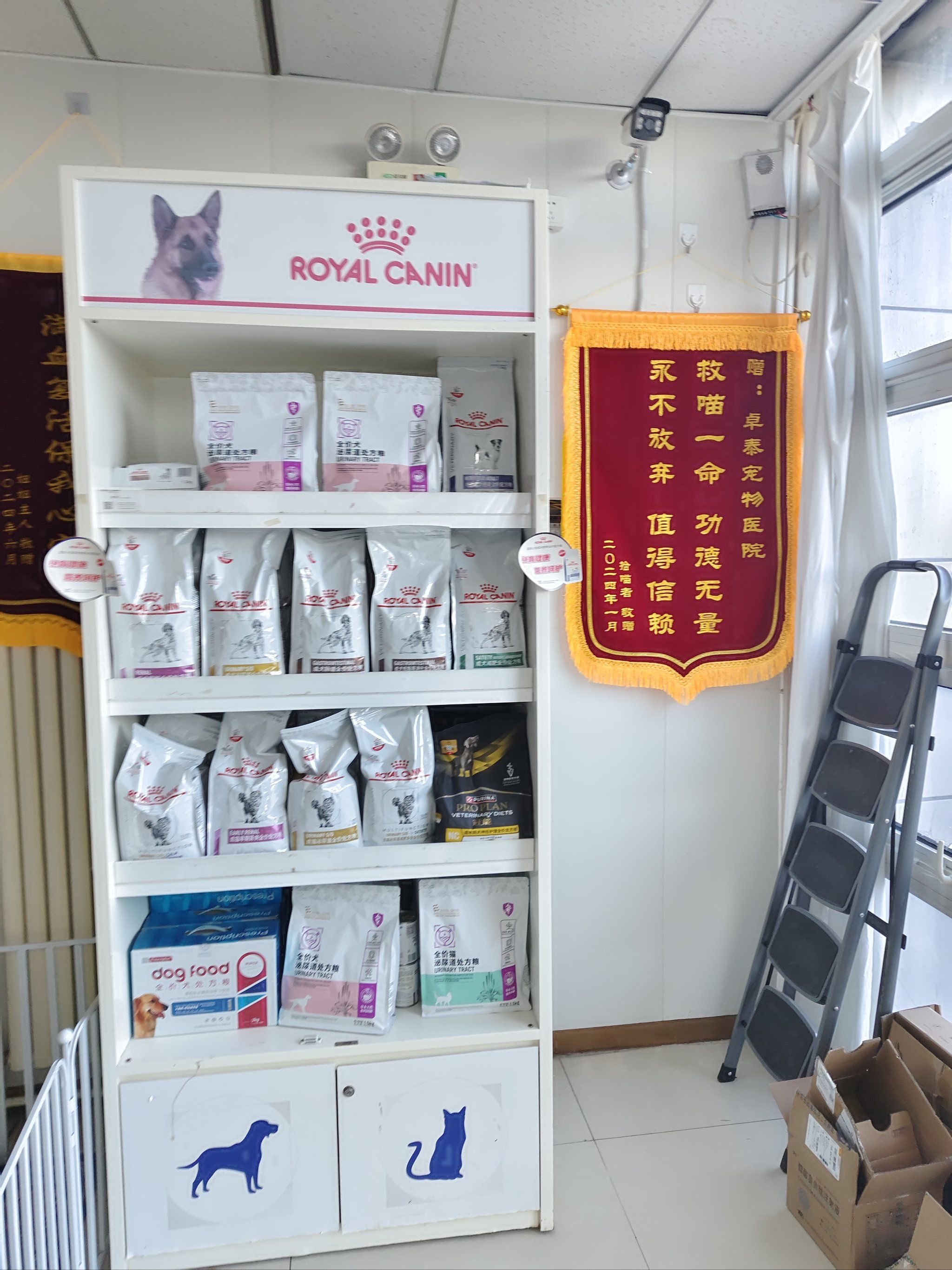 猫扑健康猫扑健康，守护爱宠的活力与健康-第2张图片