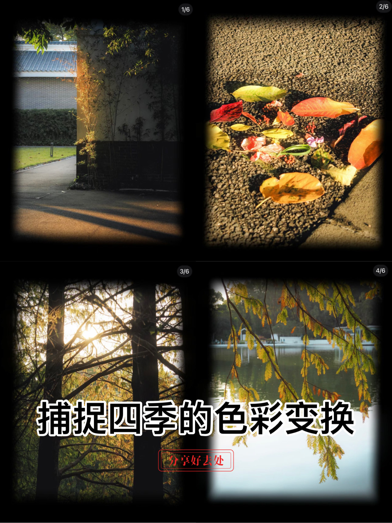 男人最爱第四色——探索与解读的色彩之谜