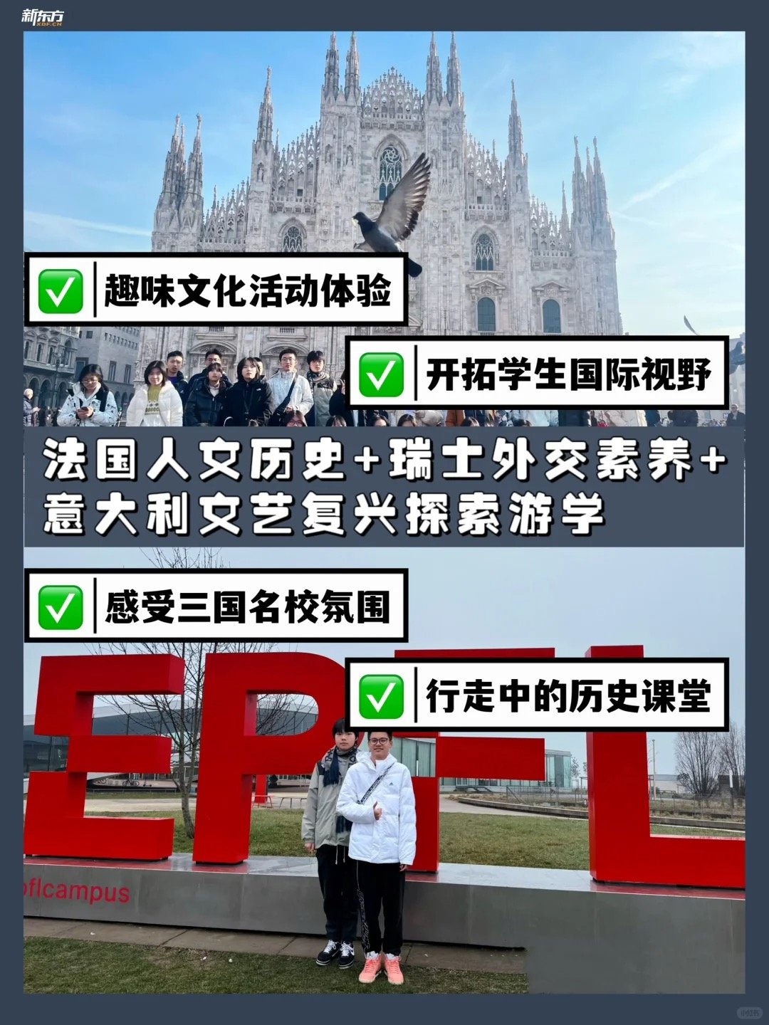 探索亚洲成熟人网站，文化、特点与影响