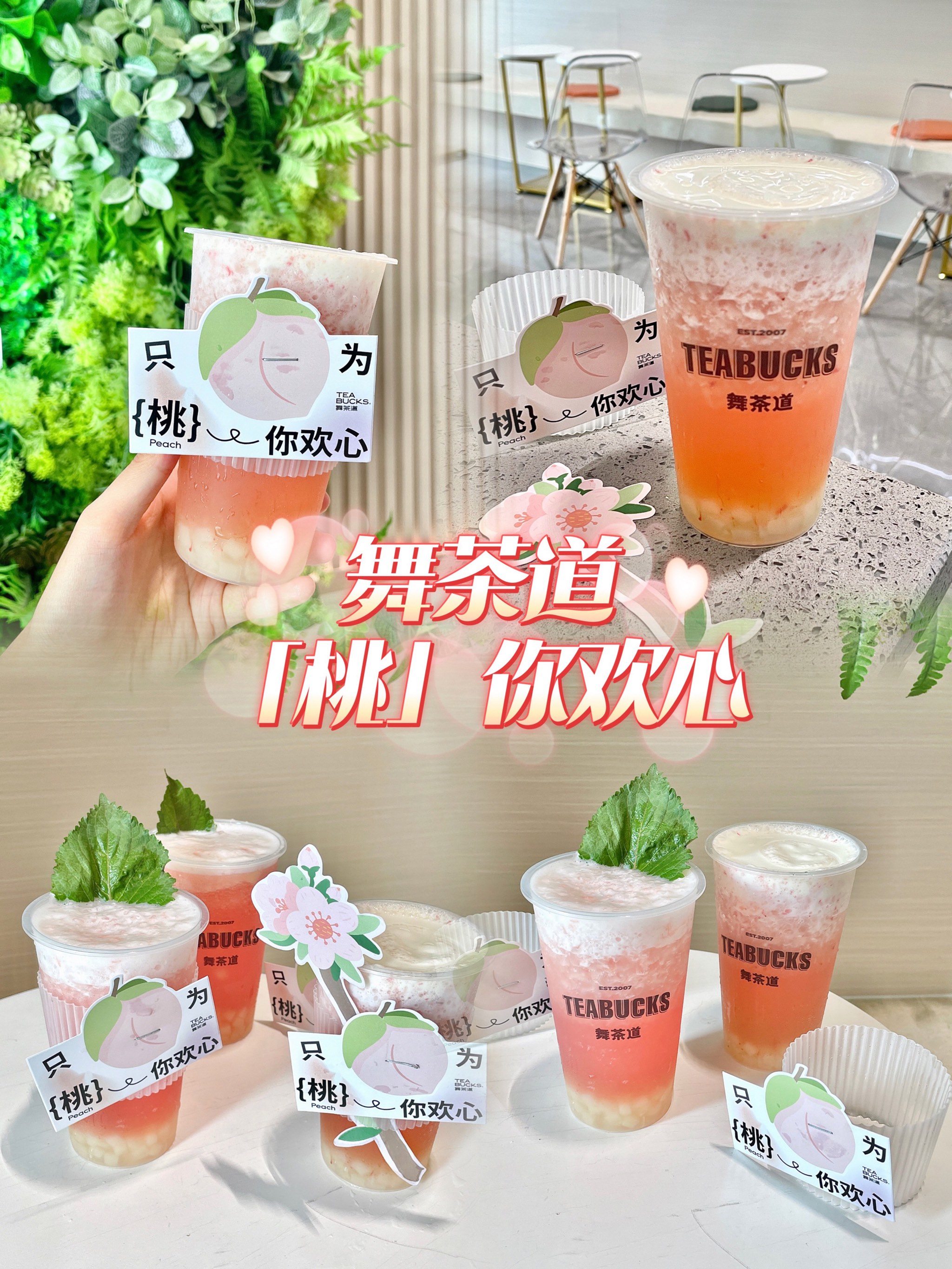苏桃——一段甜蜜的果实之旅