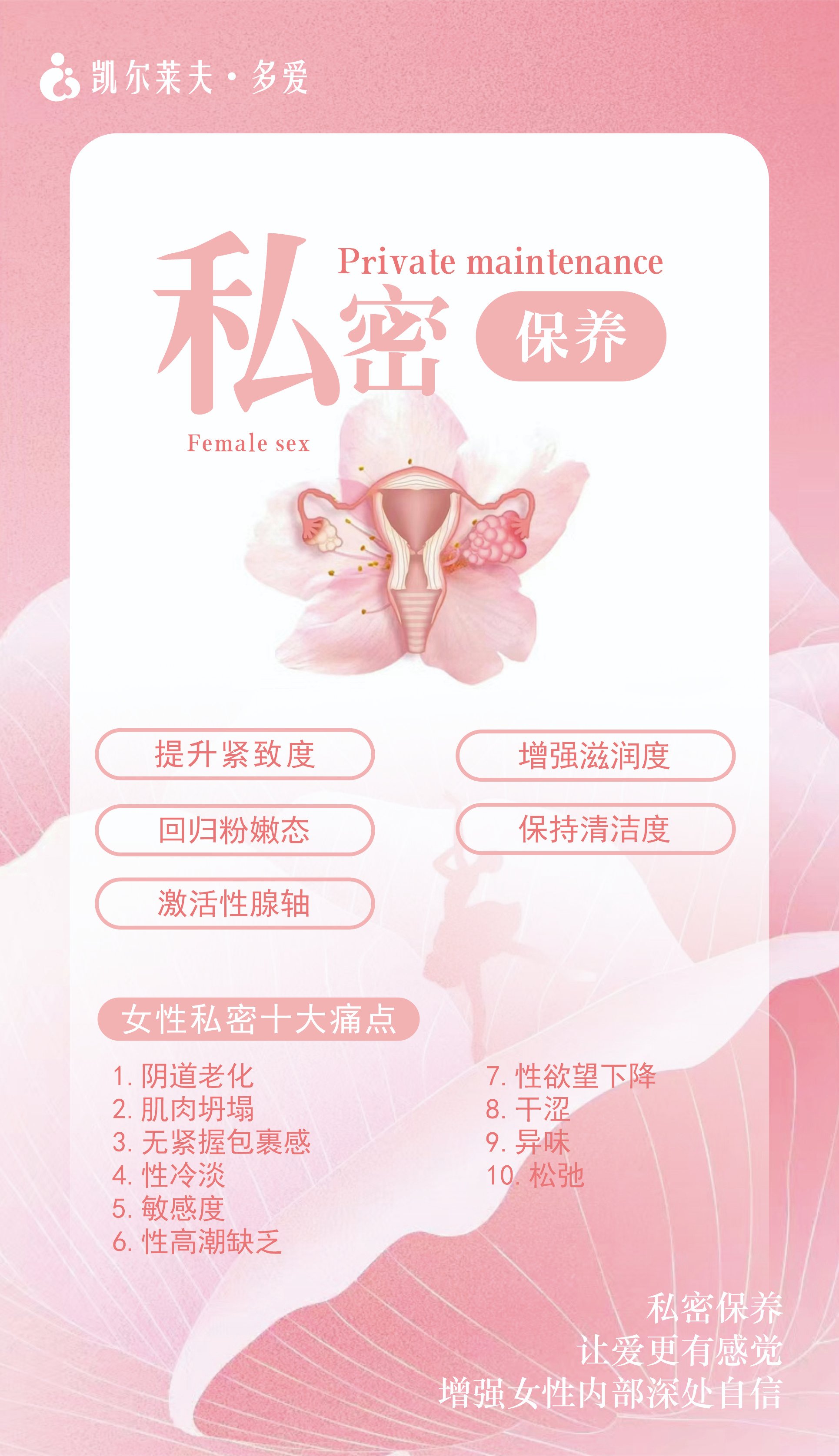 女人下部隐私(不遮挡)女性私密部位健康与护理-第2张图片